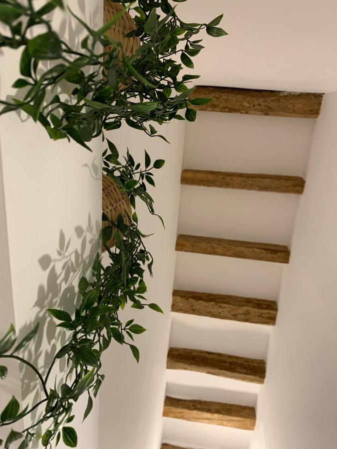 Apartaments Impro Mora d'Ebre Ngoại thất bức ảnh